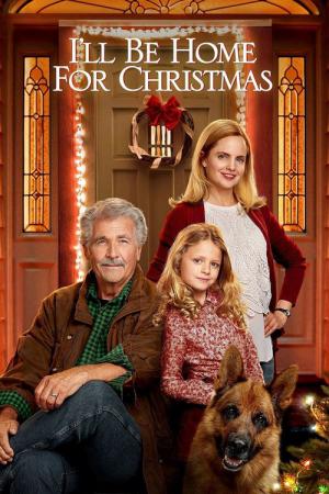Weihnachten Zuhause (2016)