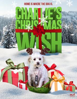 Charlie's Christmas Wish (2020)