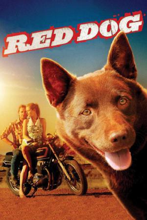 Red Dog - Ein Held auf vier Pfoten (2011)