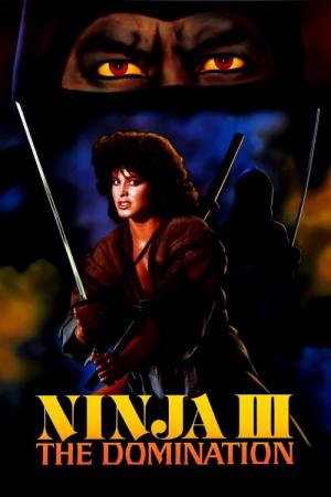 Die Herrschaft der Ninja (1984)