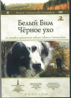 Weißer Bim, schwarzes Ohr (1977)