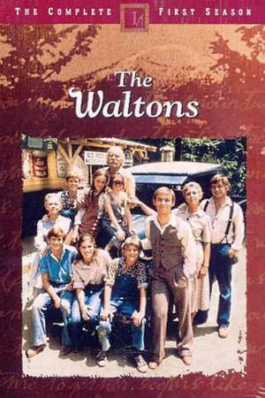 Die Waltons (1972)