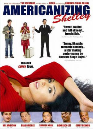 Von Bollywood nach Hollywood (2007)