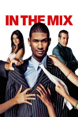In the Mix - Willkommen in der Familie (2005)