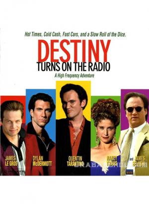 Destiny – Hoher Einsatz in Las Vegas (1995)