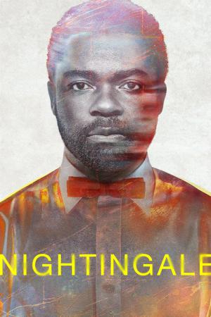 Nachtigall (2014)