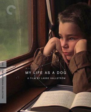 Mein Leben als Hund (1985)