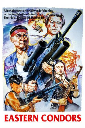 Operation Eastern Condors (1987)