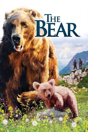 Der Bär (1988)