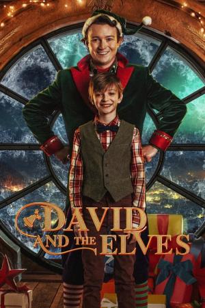 David und die Weihnachtselfen (2021)