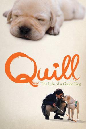 Quill - Ein Freund für´s Leben (2004)
