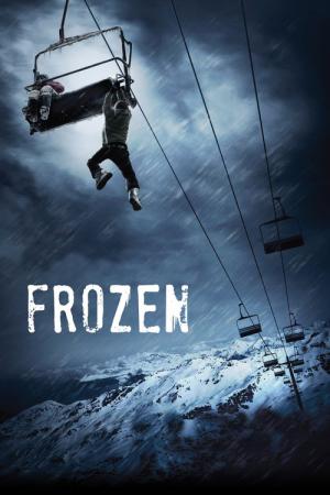 Frozen - Eiskalter Abgrund (2010)