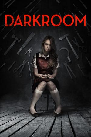 Darkroom - Das Folterzimmer! (2013)