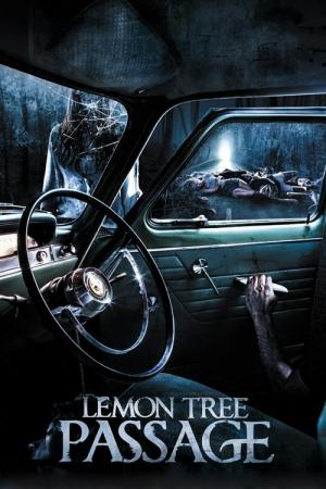 Lemon Tree Passage (2014)