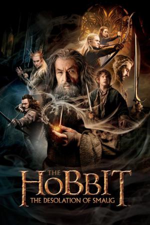 Der Hobbit - Smaugs Einöde (2013)