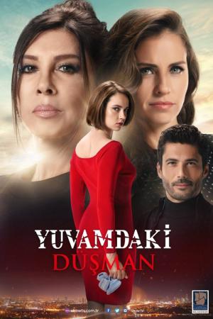 Yuvamdaki Düsman (2018)