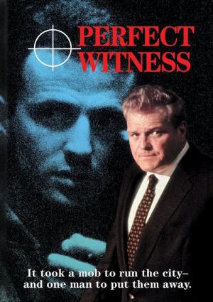 Der perfekte Zeuge (1989)