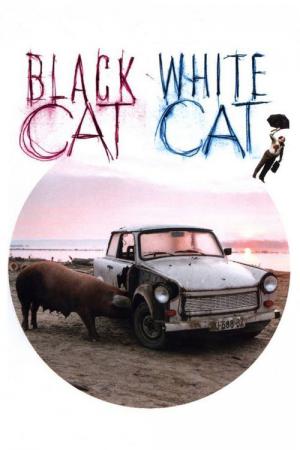 Schwarze Katze, weißer Kater (1998)