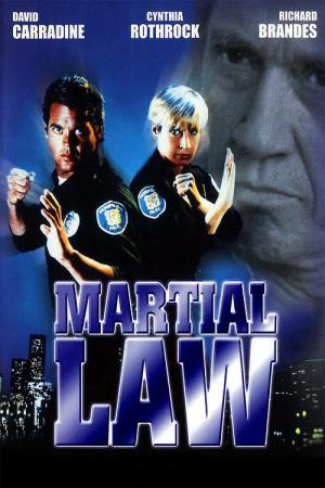 Martial Law - Die Elite Einheit (1990)
