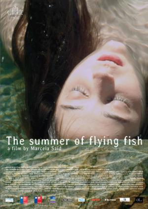 Der Sommer der fliegenden Fische (2013)
