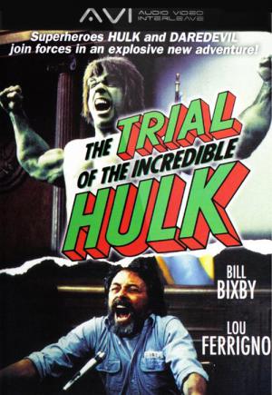 Der unglaubliche Hulk vor Gericht (1989)
