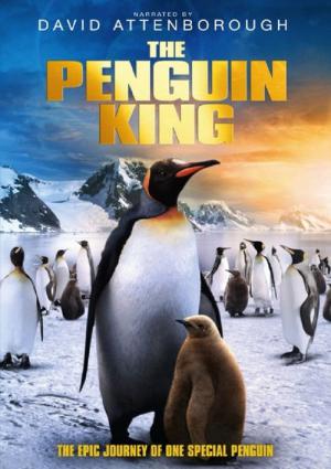 Ein Pinguin kommt selten allein (2012)