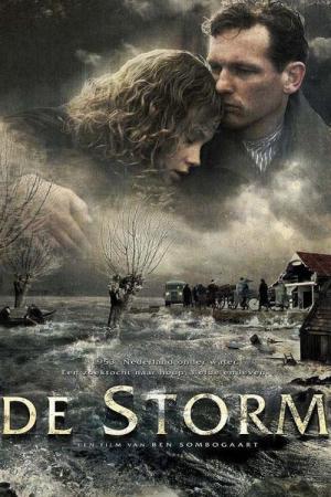 De storm (2009)