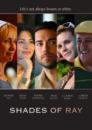 Shades of Ray (2008)