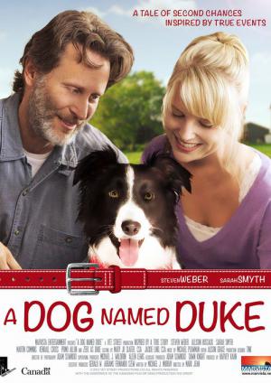Ein Hund namens Duke (2012)