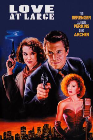 Die Liebe eines Detektivs (1990)