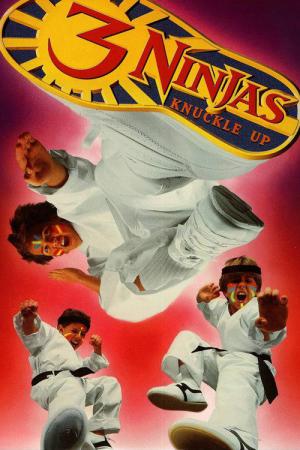 3 Ninjas Fight & Fury (1995)