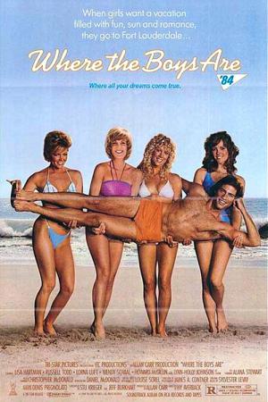 Beach Parties - Sonne, Sex und Sunnyboys (1984)