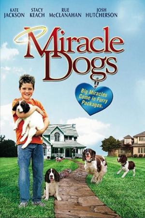Wunder Hunde (2003)