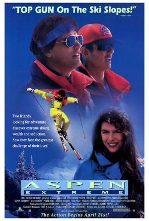 Zwei Asse im Schnee (1993)