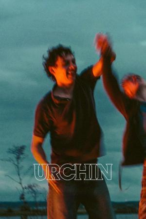 Urchin (2025)