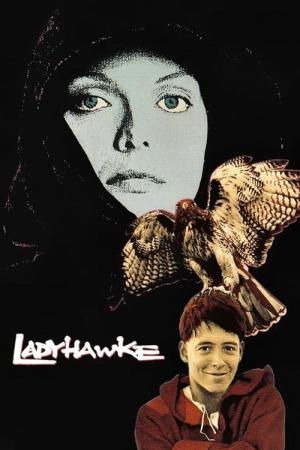 Der Tag des Falken (1985)