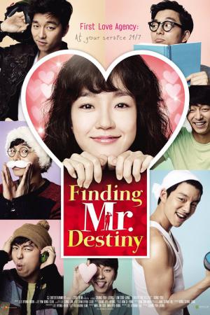 Finding Mr Destiny (2010)