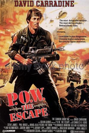 P.O.W.: Die Vergeltung (1986)