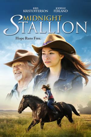 Midnight Stallion - Der König der Pferde (2013)