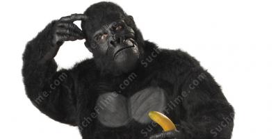 Gorilla-Anzug filme