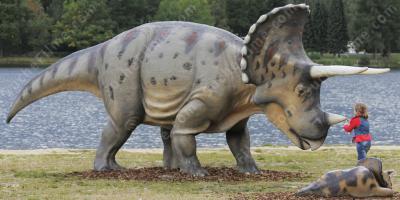 Triceratops filme