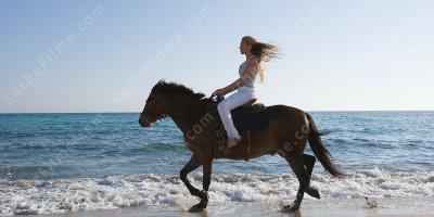 Frau reitet auf einem Pferd filme