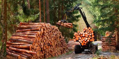 Forstwirtschaft filme