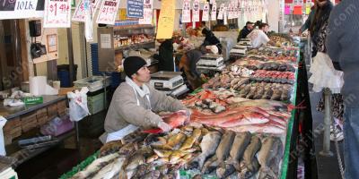 Fischmarkt filme