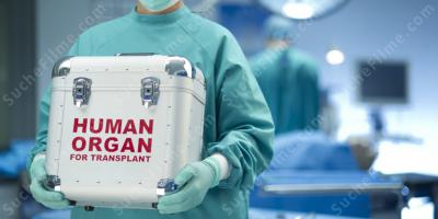 Organtransplantation filme
