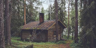 Hütte im Wald filme