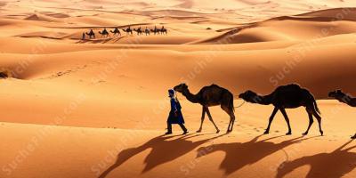 Sahara Wüste filme