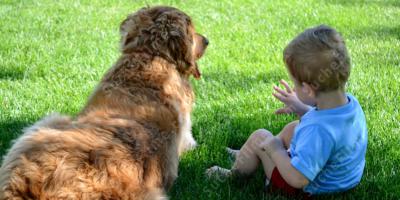 Beziehung zwischen Jungen und Hunden filme